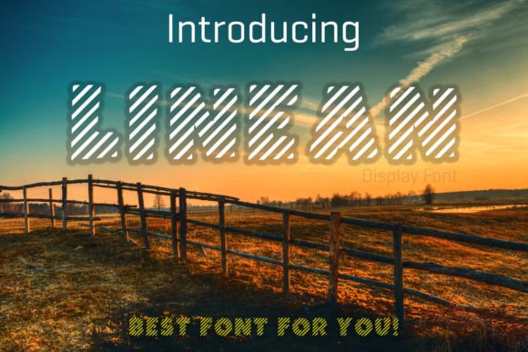 Linean: A Cool Display Font for Modern Branding